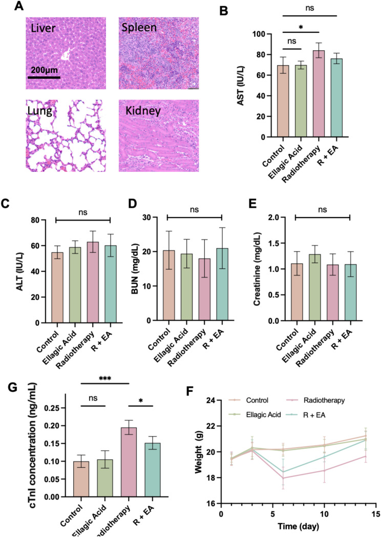 Figure 4
