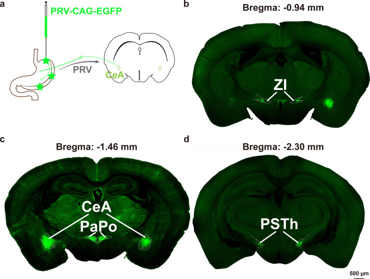 Figure 2