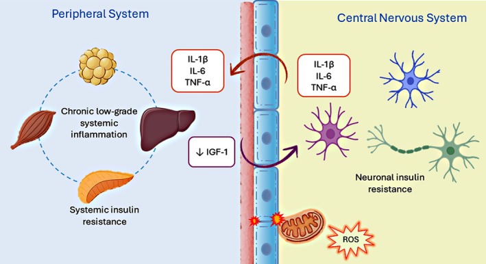 FIGURE 3