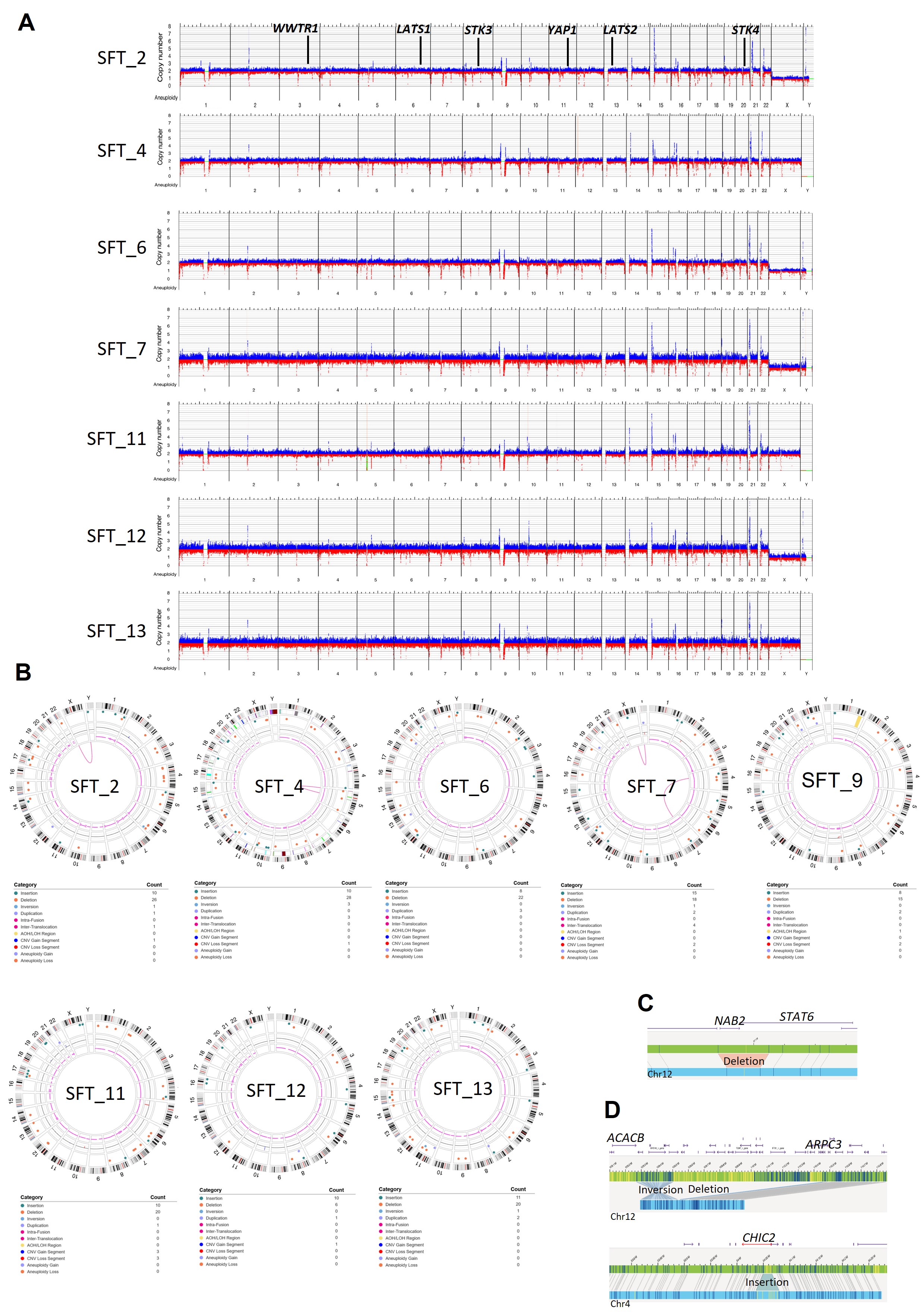 Figure 9