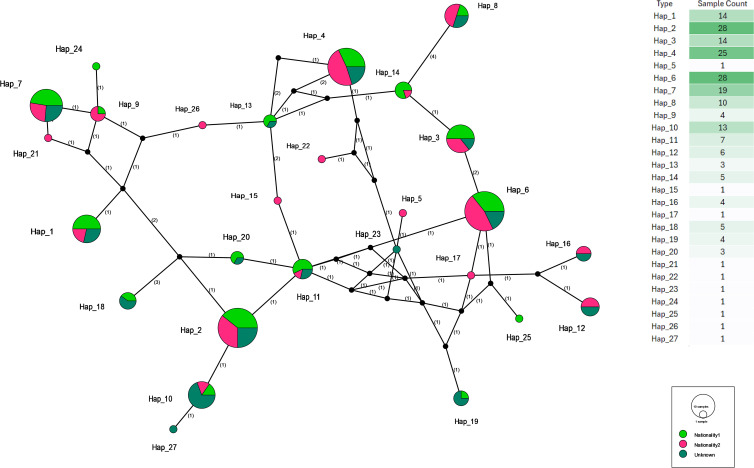 Figure 7