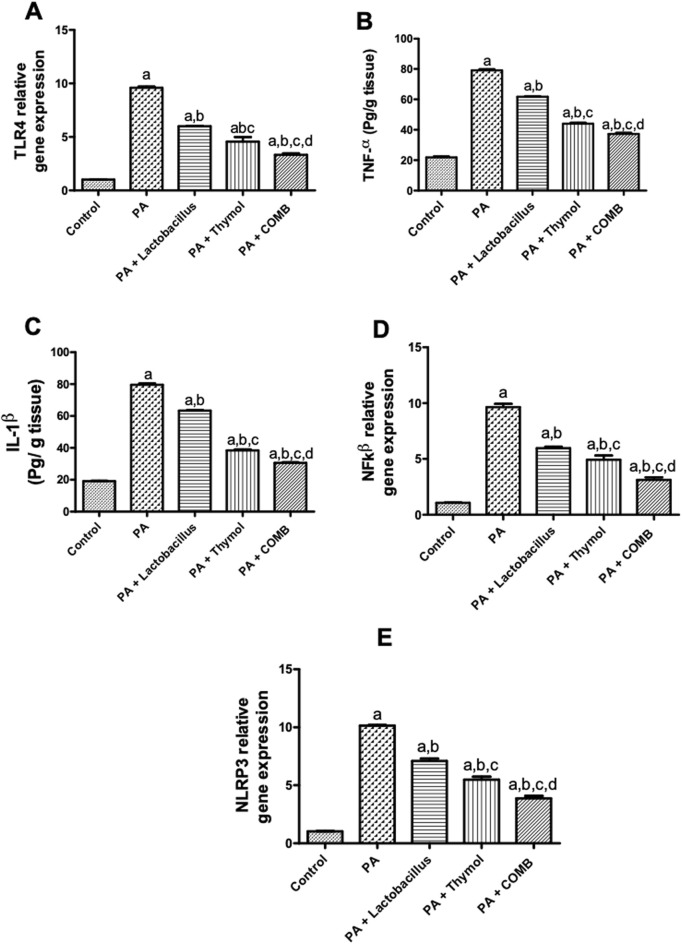 Figure 5