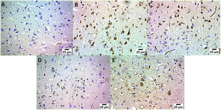 Figure 16