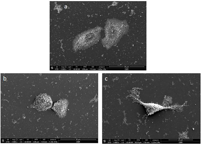 Figure 9