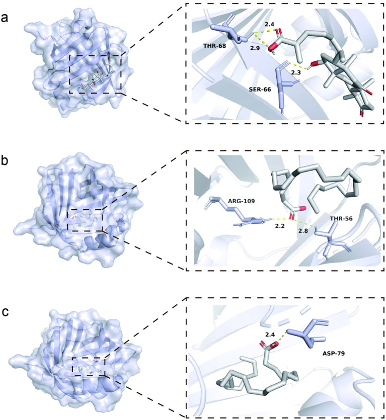 Figure 13