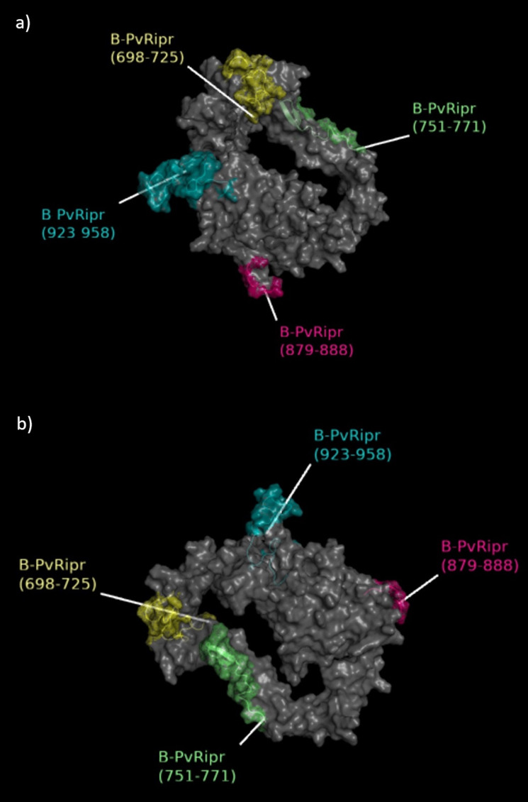 Figure 4