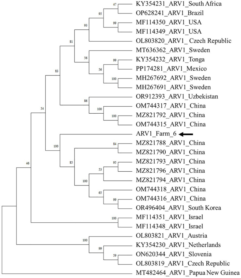 Figure 5