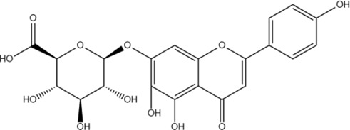 Figure 13