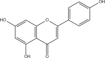 Figure 17