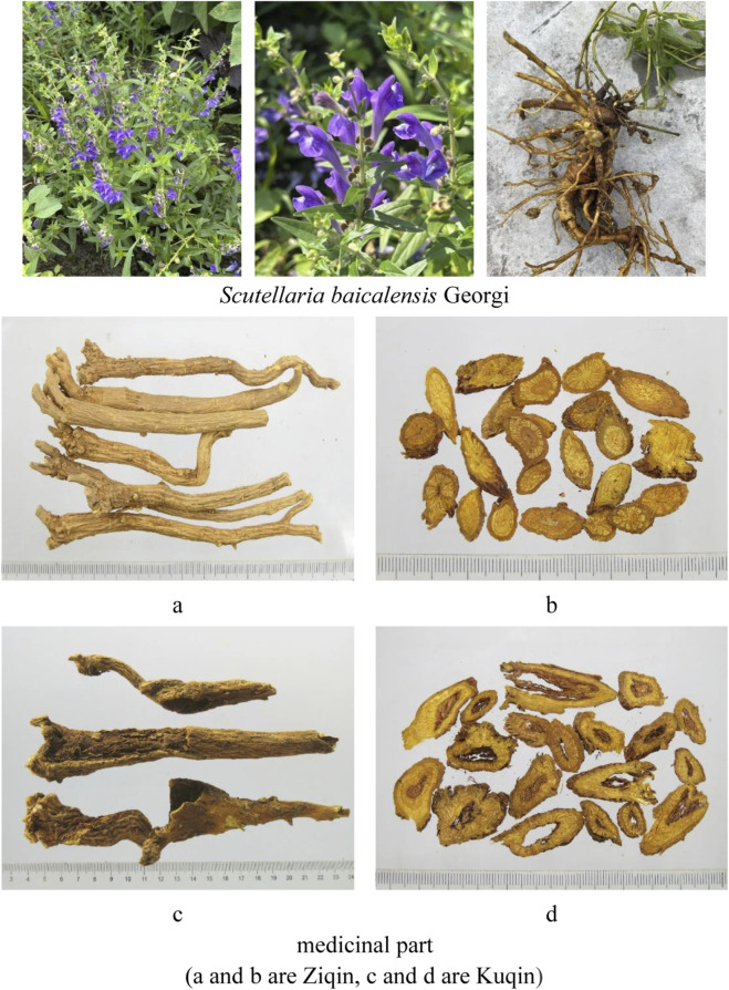 Figure 18