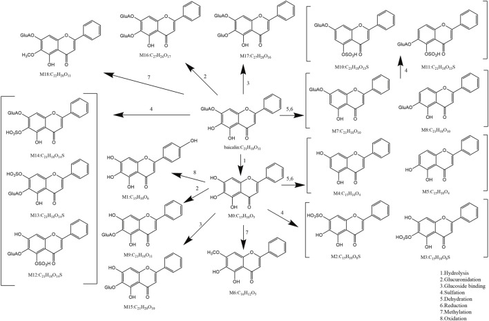 Figure 19