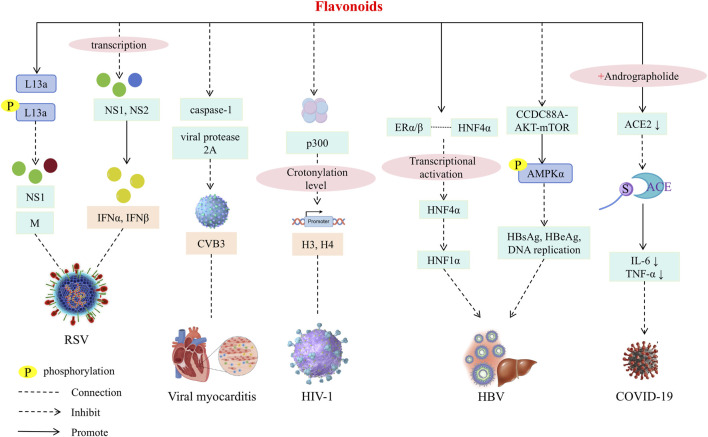 Figure 21