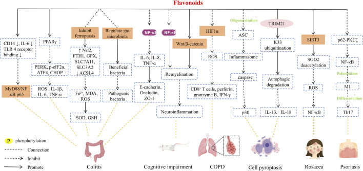 Figure 22