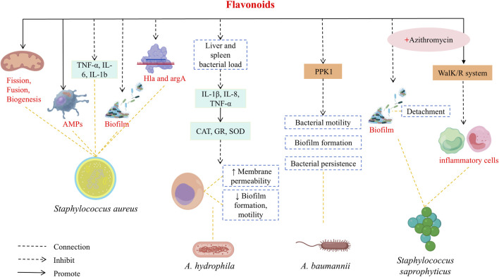 Figure 23