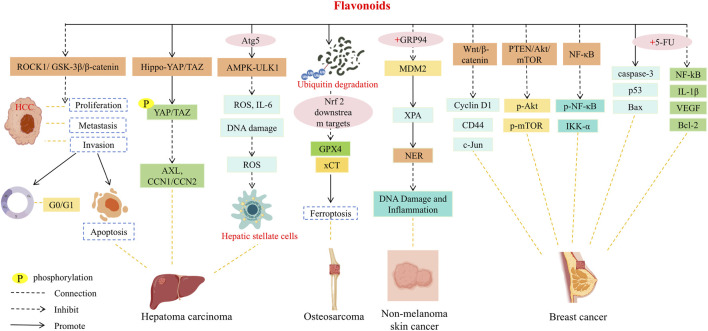 Figure 24