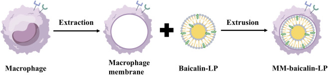 Figure 28
