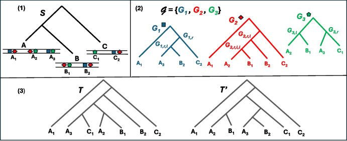 Figure 1