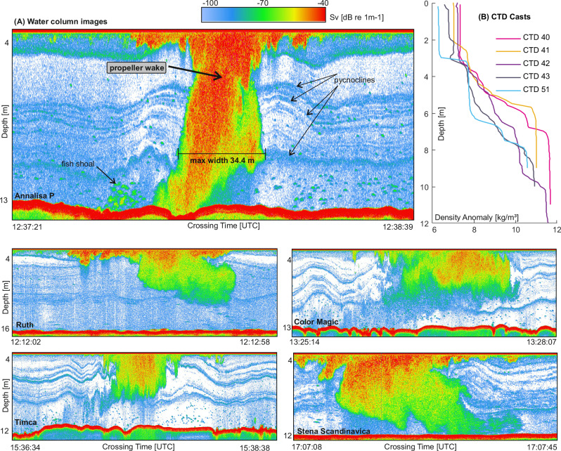 Figure 6