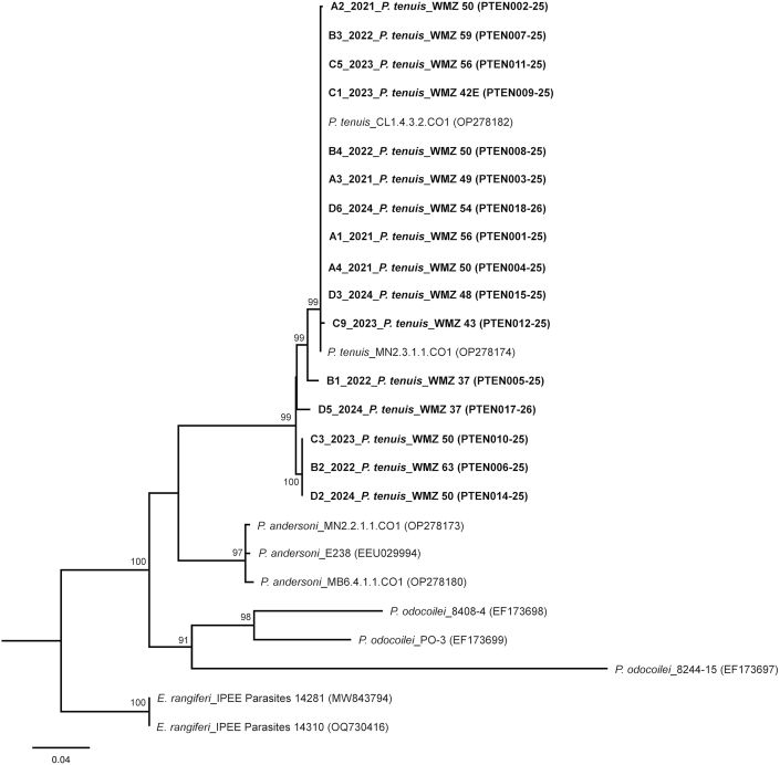 Figure 6