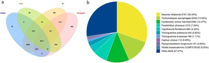 Figure 9