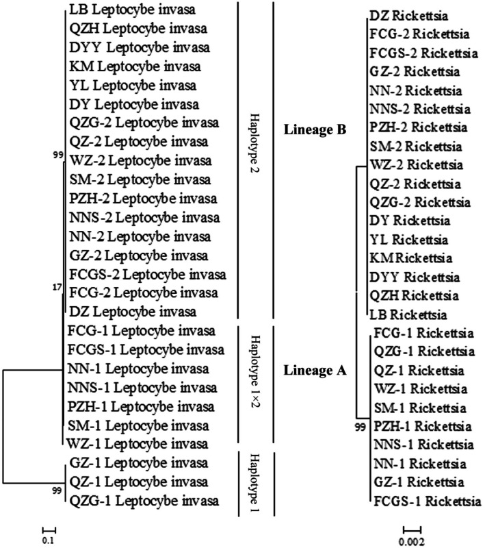 Figure 10