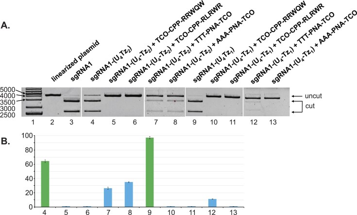 Figure 7