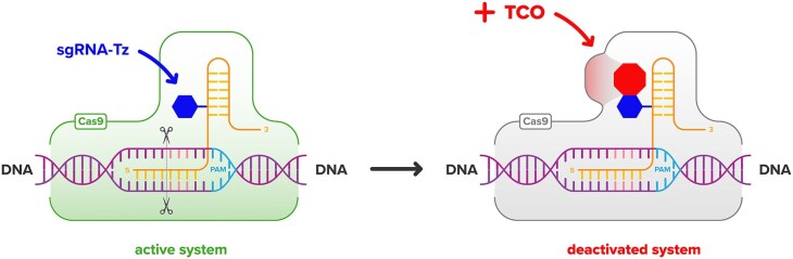Figure 13