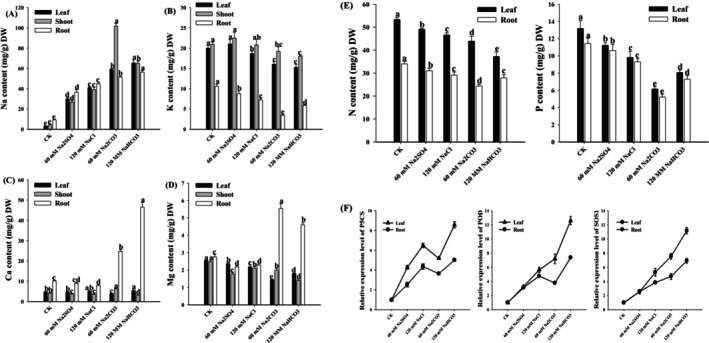 Figure 6