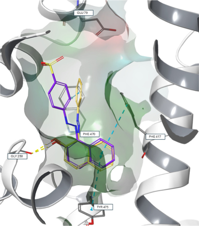 Figure 5