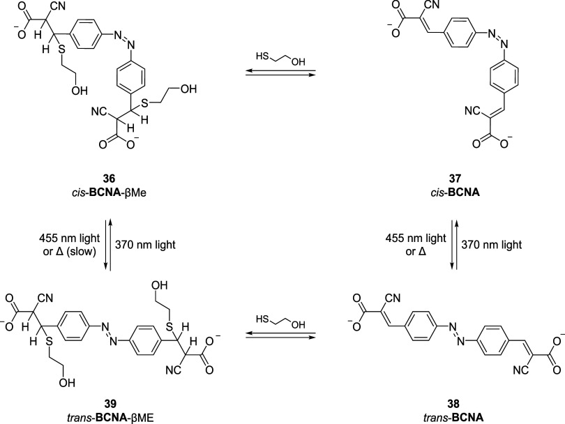 Figure 31