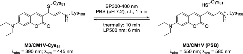 Figure 34