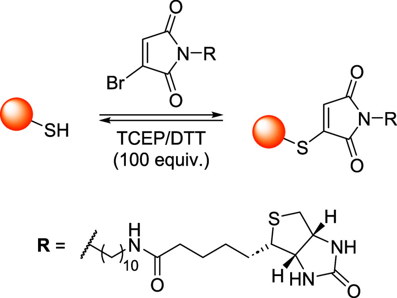 Figure 43