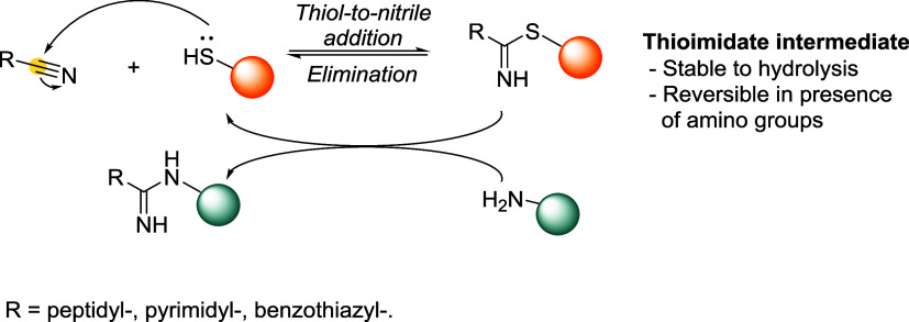 Figure 46