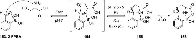 Figure 50