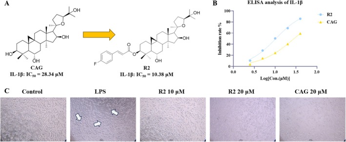 Figure 9