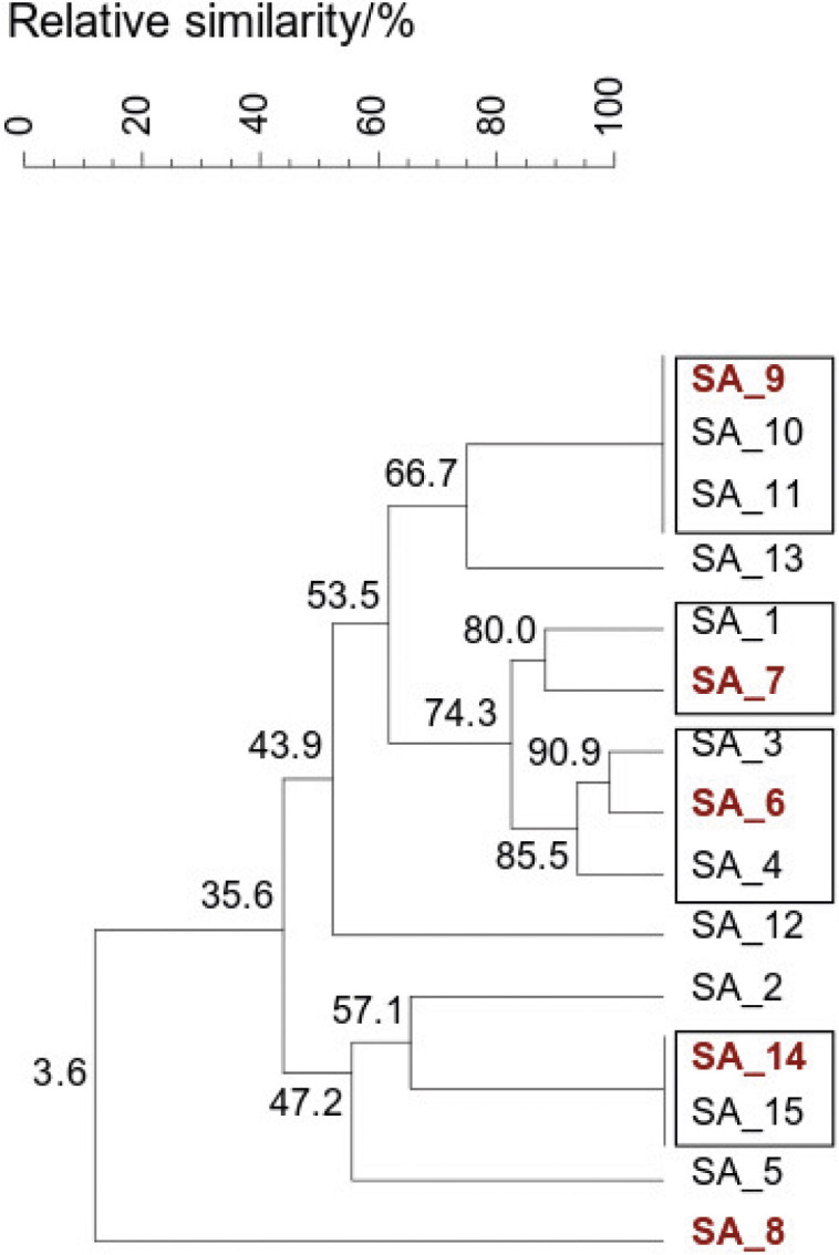 Figure 5