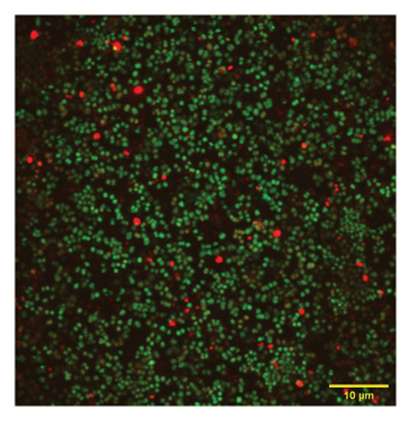 Figure 10