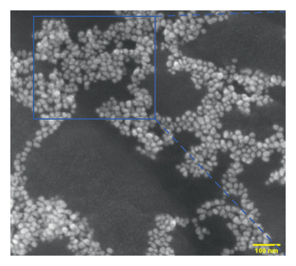 Figure 22
