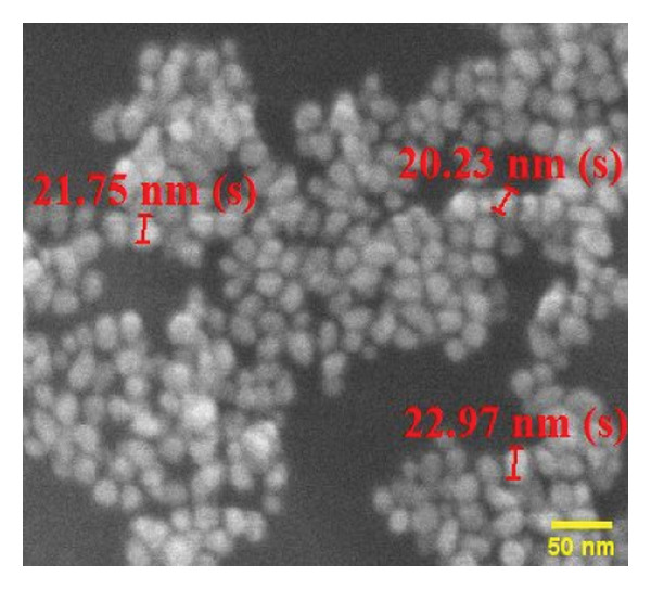Figure 23