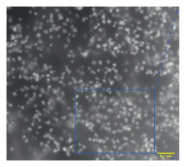 Figure 24