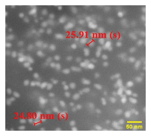 Figure 25