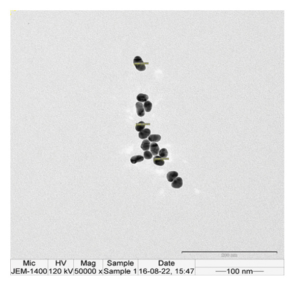 Figure 26