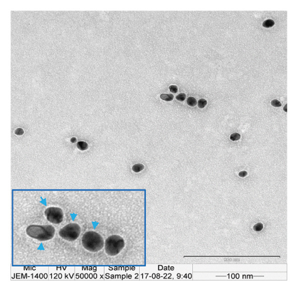 Figure 31