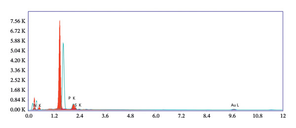 Figure 36