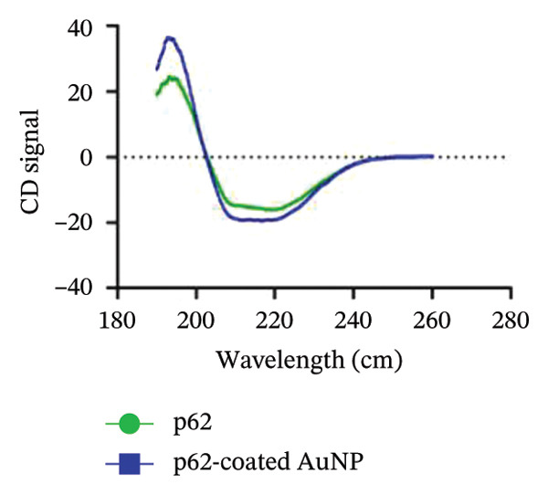 Figure 40