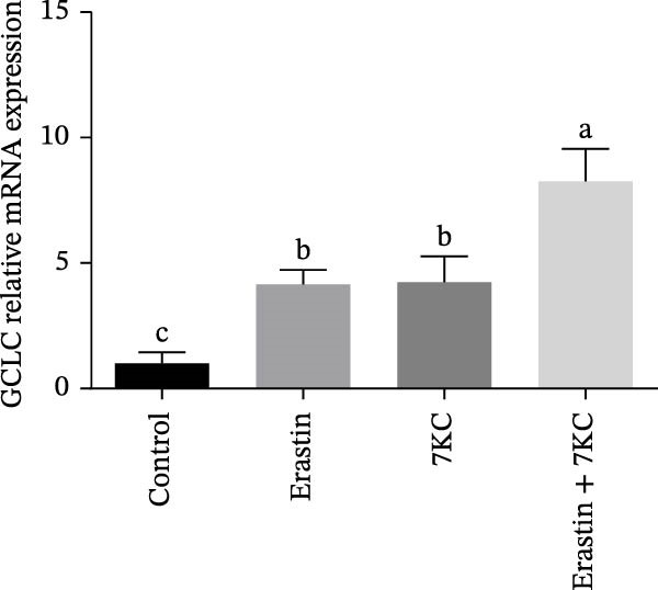 Figure 12