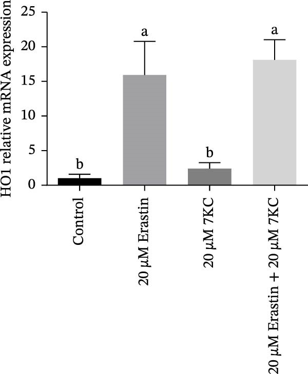 Figure 14