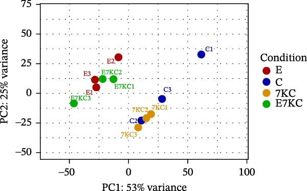 Figure 19