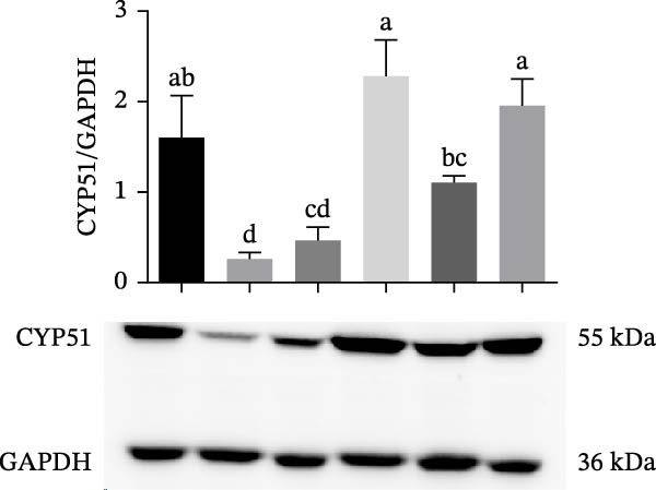 Figure 23