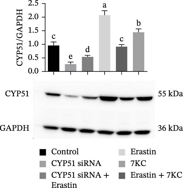 Figure 24